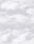Clouds wallpaper in silver grey color - pattern number G56532 - by Galerie in the Just 4 Kids 2 collection
