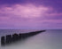 Cosatal View mural in purple lilac color - pattern number G78422 - by Galerie in the Atmosphere collection