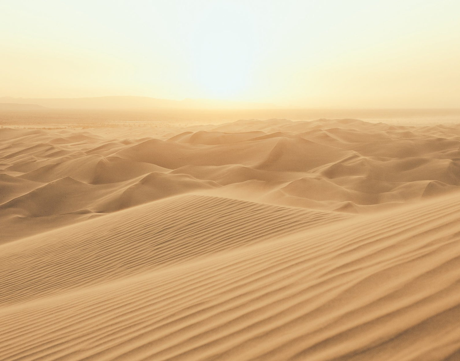 Desert Sands mural in gold color - pattern number G78423 - by Galerie in the Atmosphere collection