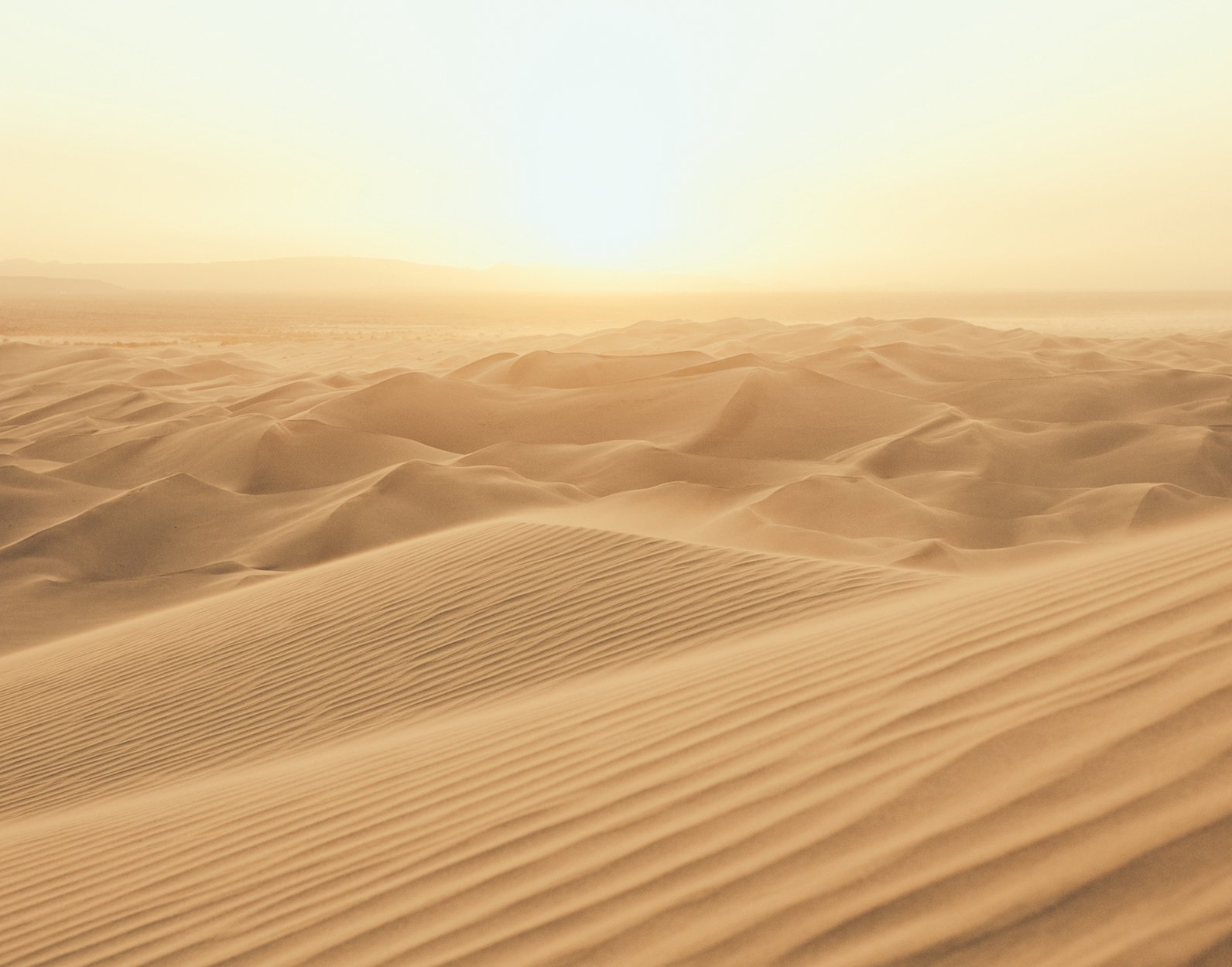 Desert Sands mural in gold color - pattern number G78423 - by Galerie in the Atmosphere collection