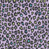 Fun Leopard Wallpaper in Purple color - pattern number G78566 - by Galerie in the Kids and Teens collection