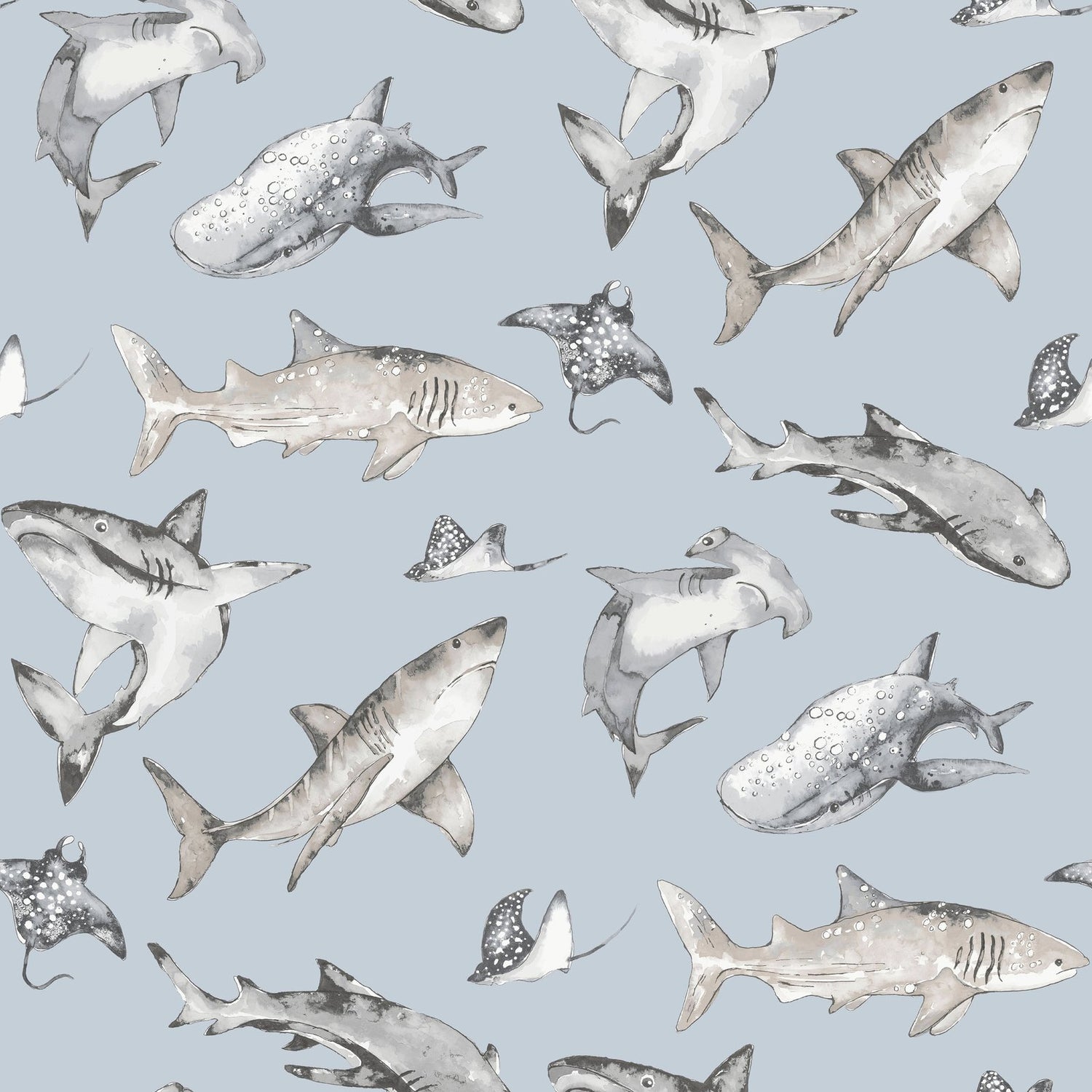 Sharks Wallpaper in Blue color - pattern number G78591 - by Galerie in the Kids and Teens collection