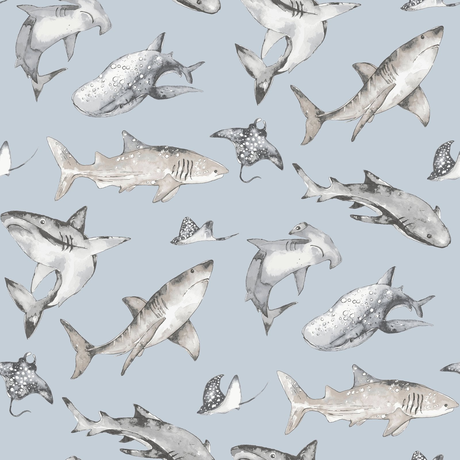 Sharks Wallpaper in Blue color - pattern number G78591 - by Galerie in the Kids and Teens collection