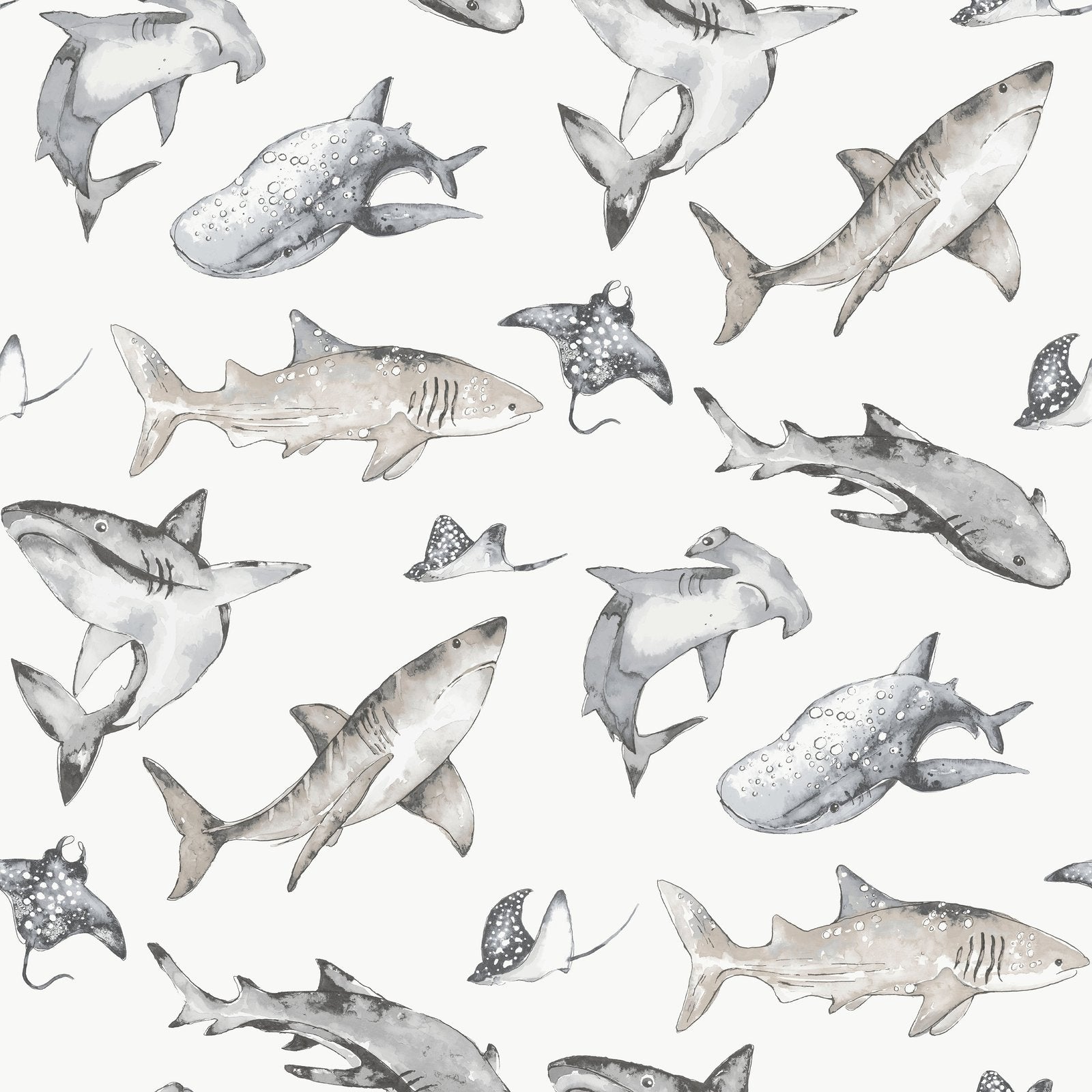 Sharks Wallpaper in Grey color - pattern number G78593 - by Galerie in the Kids and Teens collection