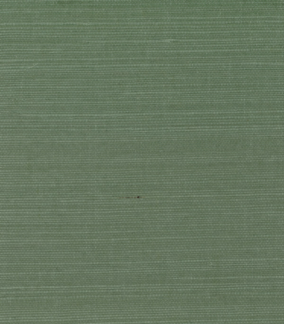 Sisal fabric in lichen green color - pattern number GG10014 - by Seabrook in the Pelican Grasscloth collection