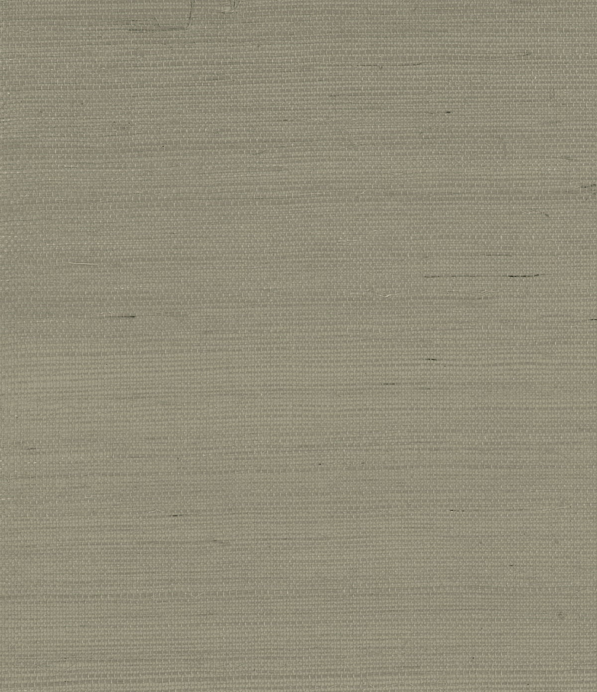 Sisal fabric in oak mist color - pattern number GG10015 - by Seabrook in the Pelican Grasscloth collection