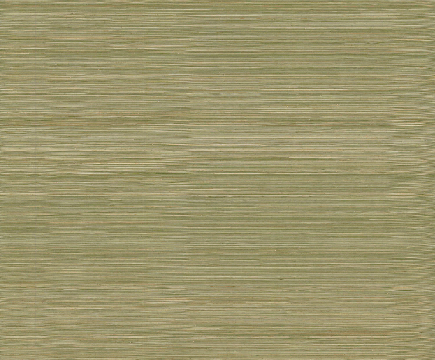 Smooth Abaca wallpaper in moss color - pattern number GRL88366 - by Ronald Redding in the Natural Palette Resource collection