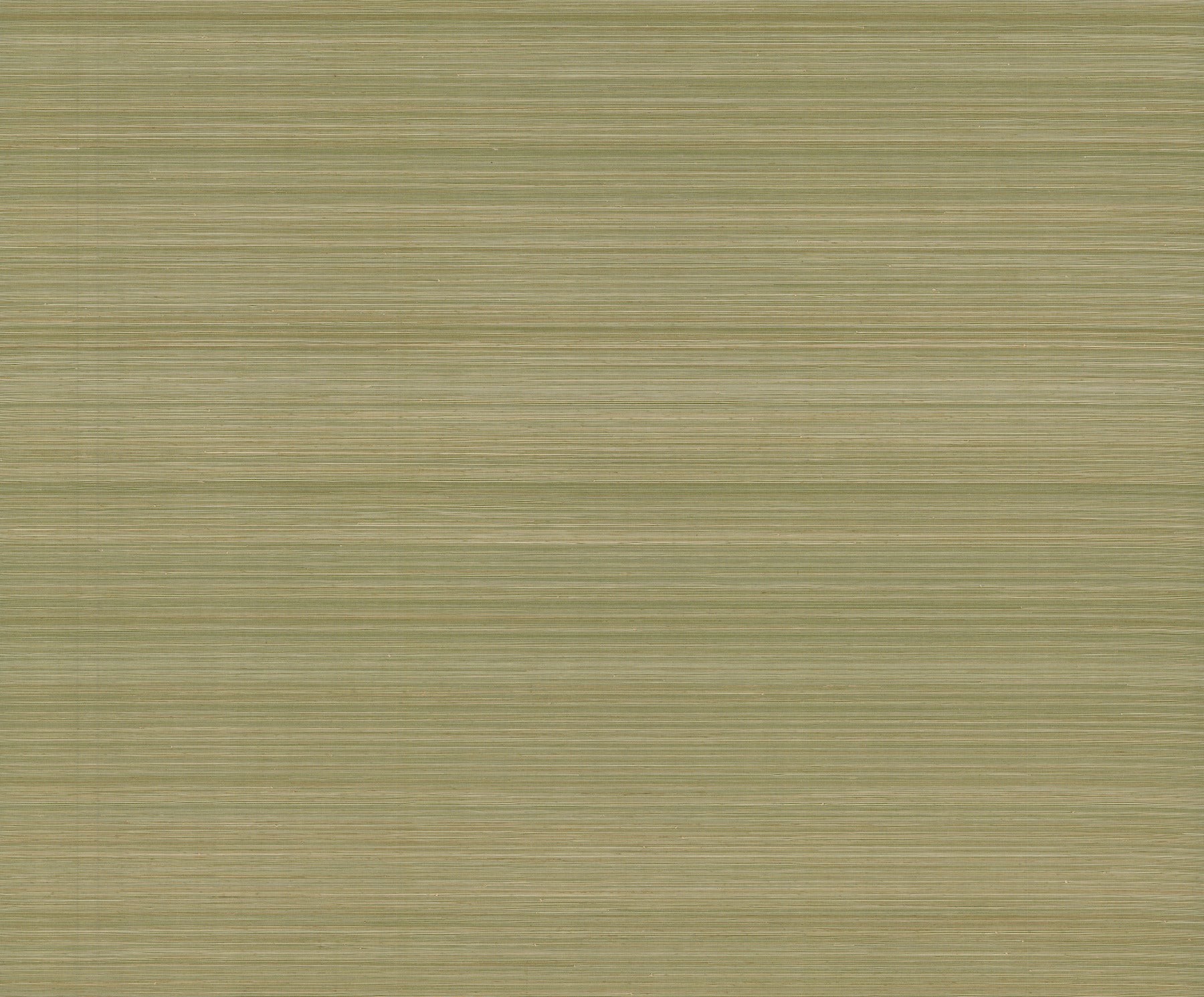 Smooth Abaca wallpaper in moss color - pattern number GRL88366 - by Ronald Redding in the Natural Palette Resource collection