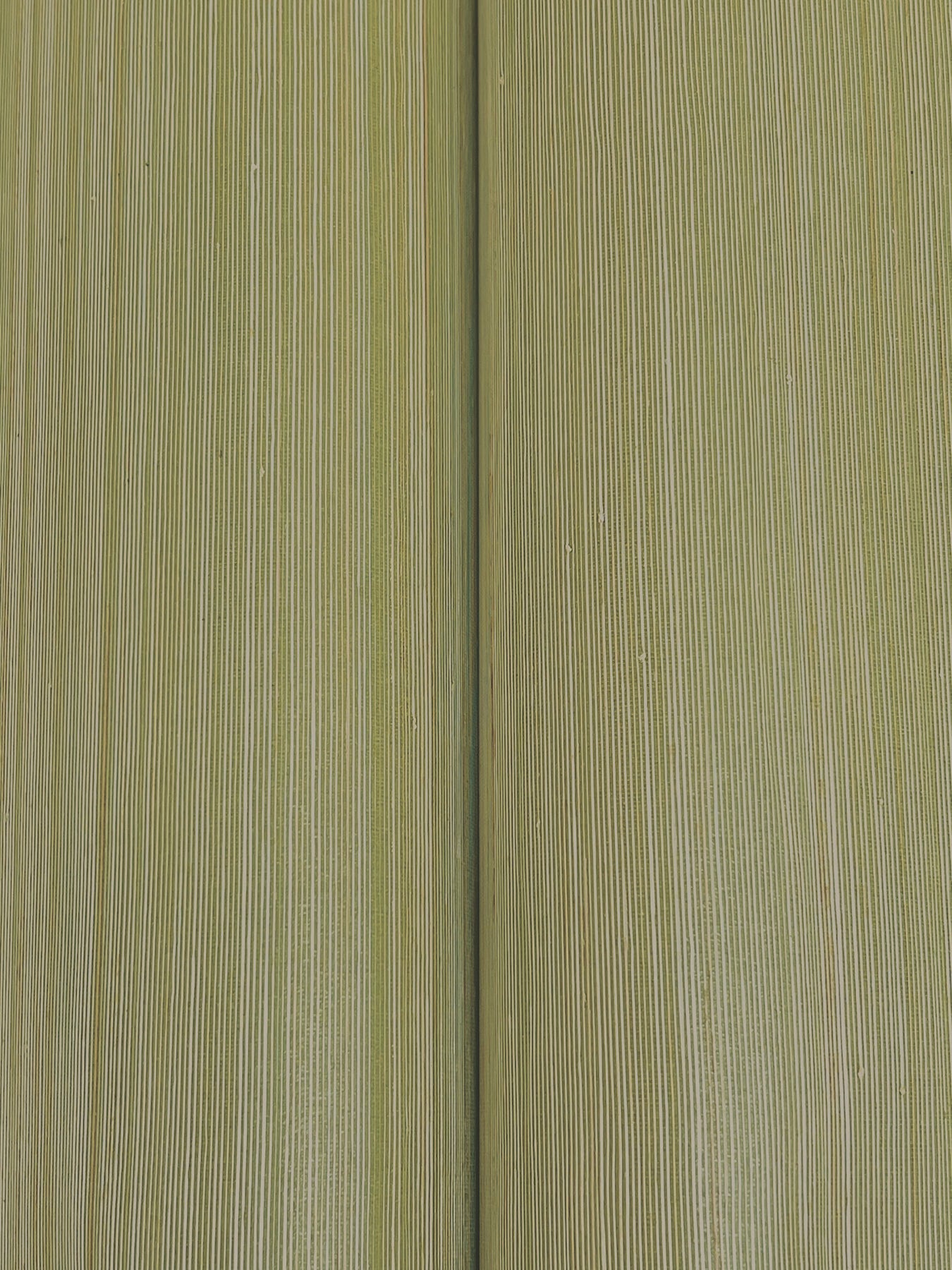 Smooth Abaca wallpaper in moss color - pattern number GRL88366 - by Ronald Redding in the Natural Palette Resource collection