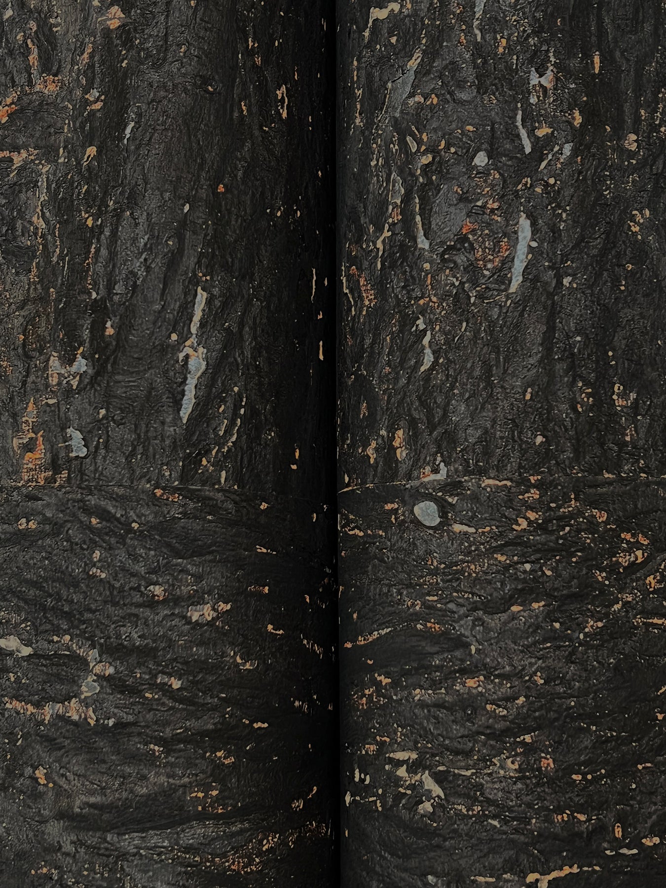 Caldera Cork wallpaper in black color - pattern number GRL88370 - by Ronald Redding in the Natural Palette Resource collection