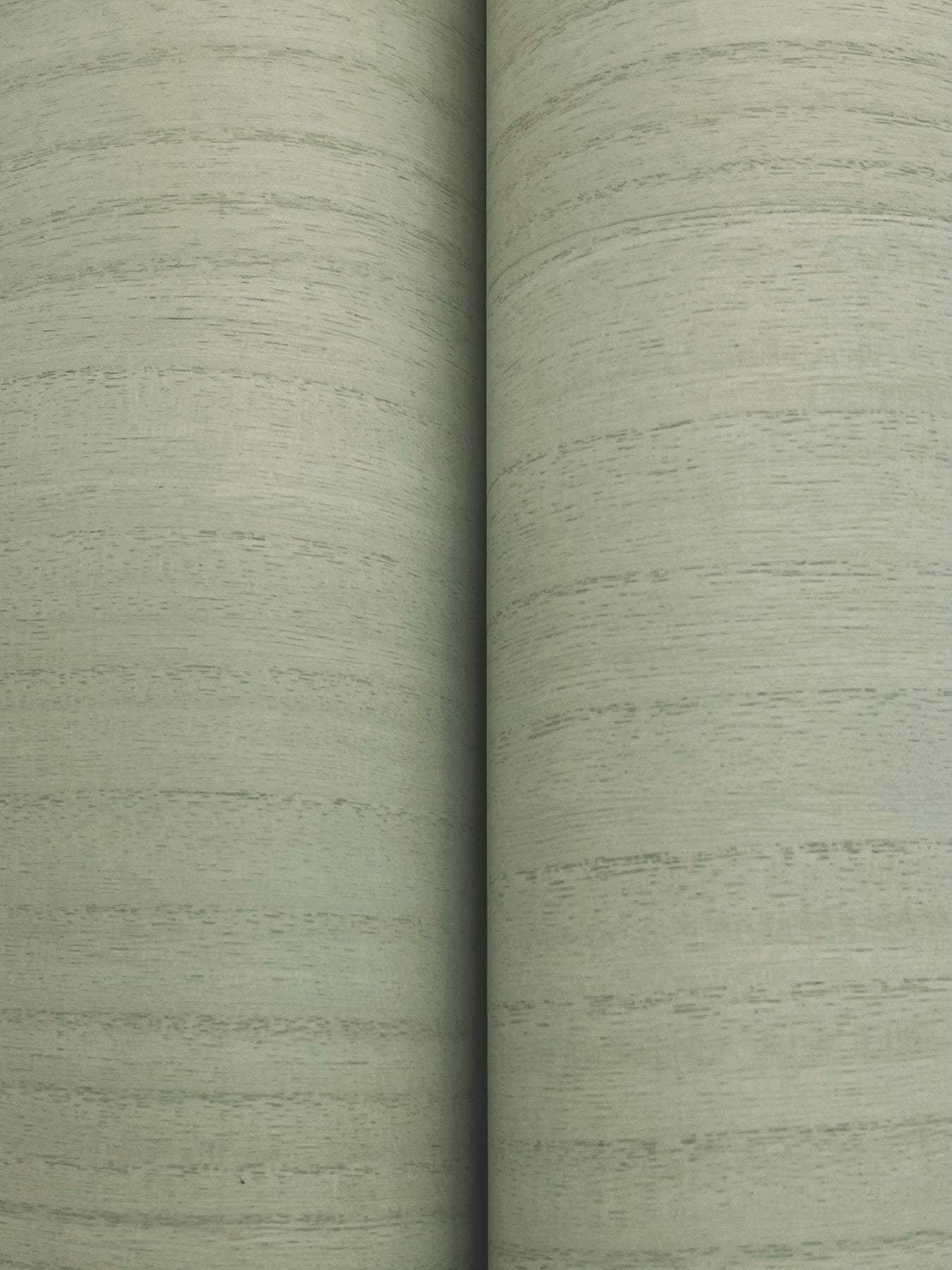 Wood Veneer wallpaper in willow color - pattern number GRL88421 - by Ronald Redding in the Natural Palette Resource collection