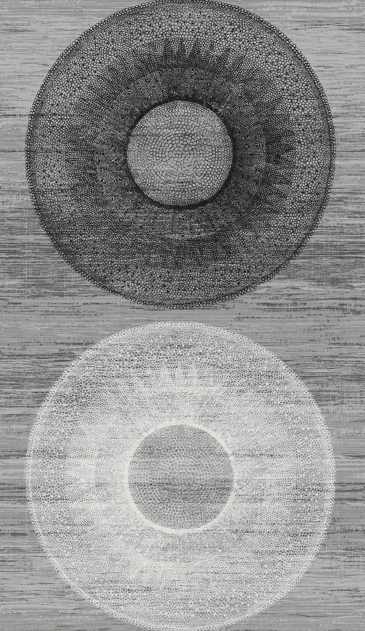 Large Circle Peel and Stick wallpaper in monochrome color - pattern number HG11600 - by NextWall in the Peel and Stick Wallpaper by Harry and Grace 4 collection