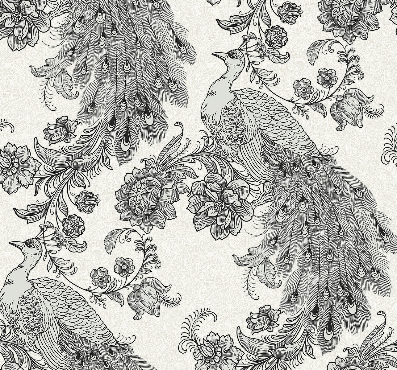 Peacock Peel and Stick wallpaper in ivory and ebony color - pattern number HG12200 - by NextWall in the Peel and Stick Wallpaper by Harry and Grace 4 collection