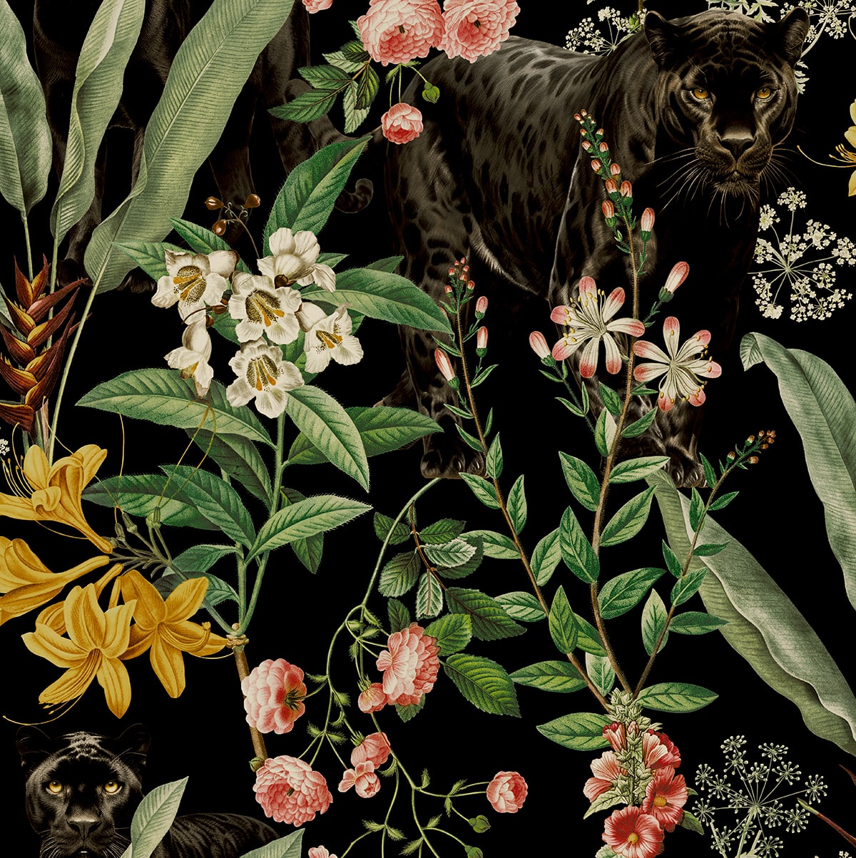 Panther Jungle Peel and Stick wallpaper in onyx color - pattern number HG13900 - by NextWall in the Peel and Stick Wallpaper by Harry and Grace 5 collection