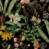 Panther Jungle Peel and Stick wallpaper in onyx color - pattern number HG13900 - by NextWall in the Peel and Stick Wallpaper by Harry and Grace 5 collection