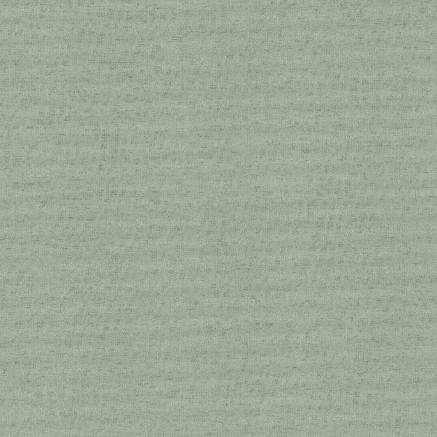 Plain Texture Wallpaper in Green color - pattern number HV41063 - by Galerie in the Havana 2 collection