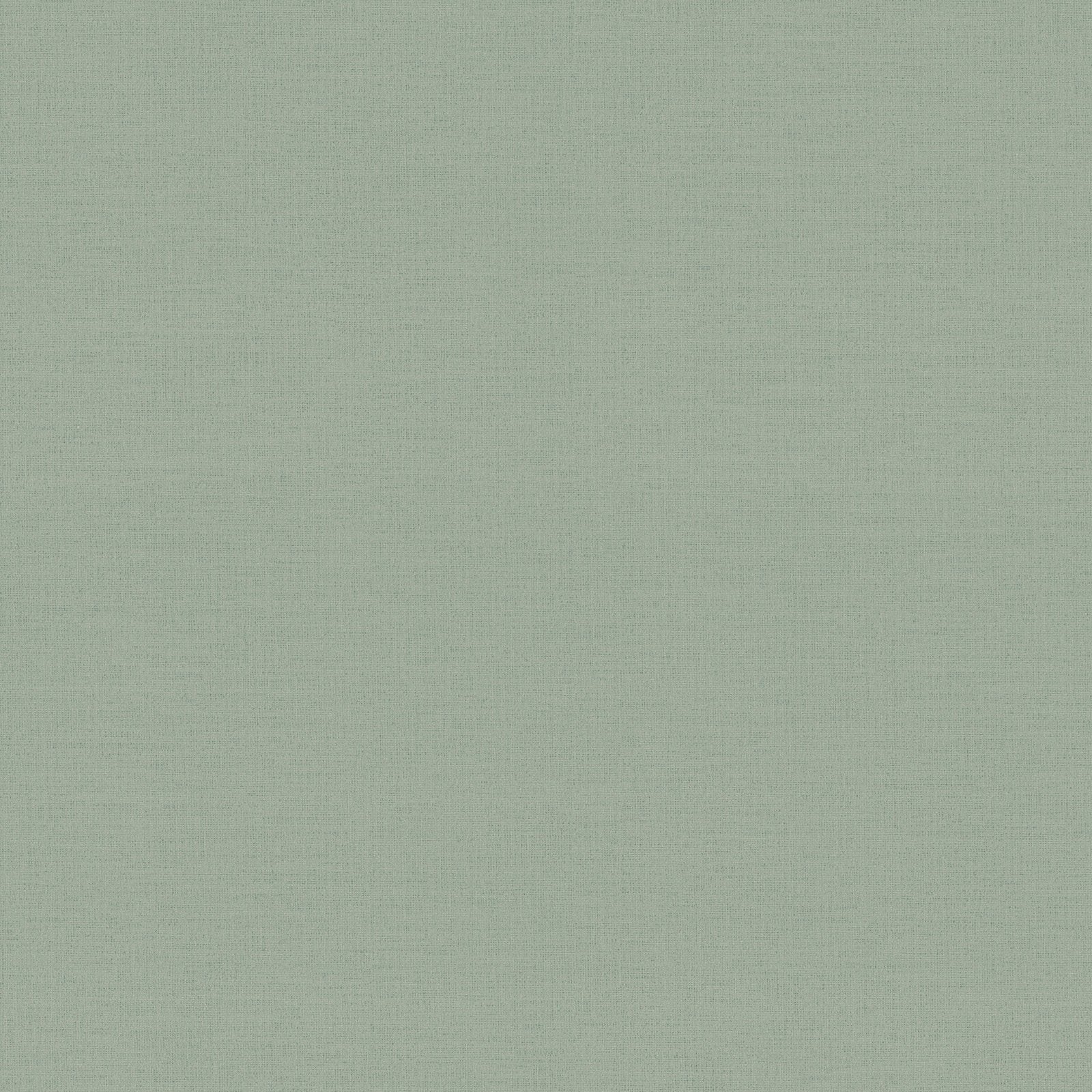 Plain Texture Wallpaper in Green color - pattern number HV41063 - by Galerie in the Havana 2 collection