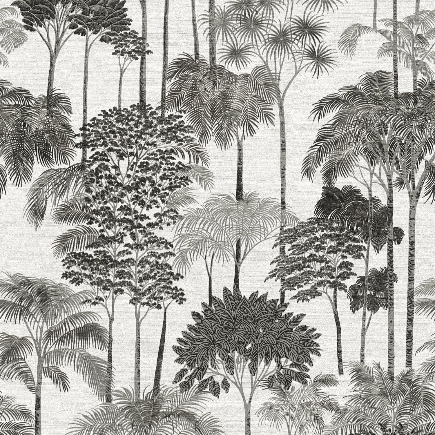 Tree Leaf Wallpaper in Black color - pattern number HV41085 - by Galerie in the Havana 2 collection