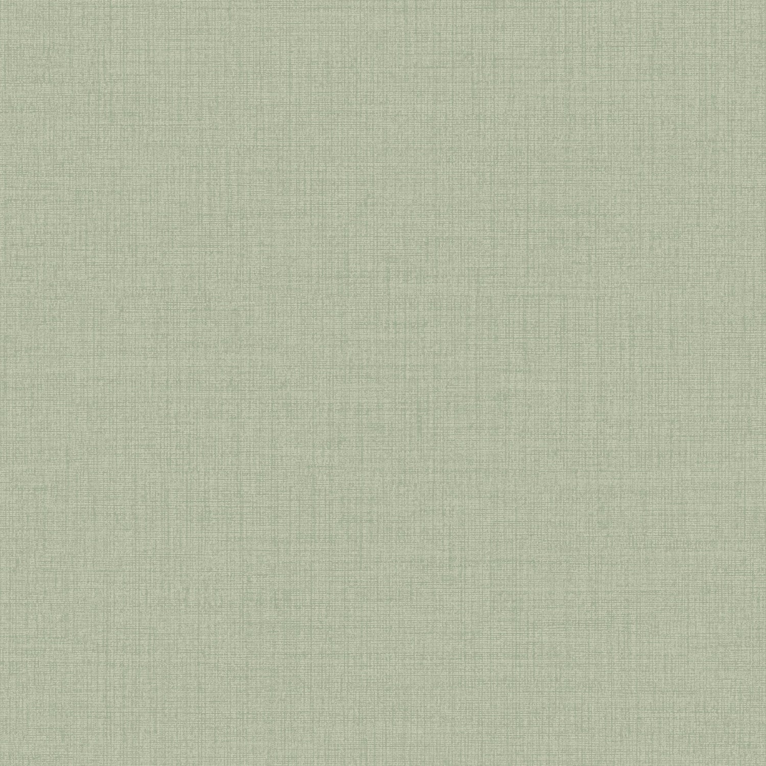 Textile Plain Wallpaper in green color - pattern number GDIC1013 - by Grandeco in the Little Dreamers collection