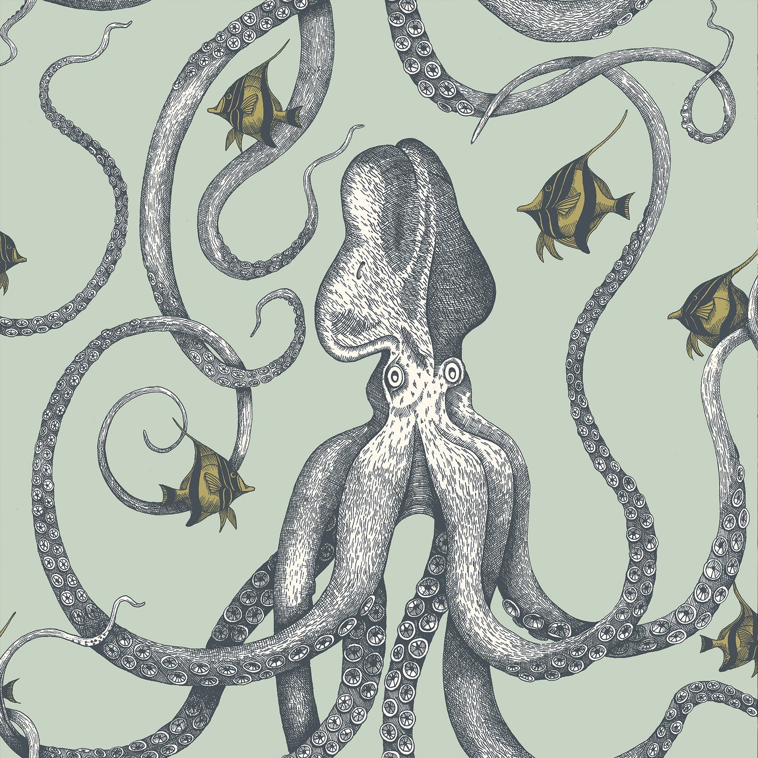 Octopoda Grand Wallpaper in radmoor blue color - pattern number JMW1030.21.0 - by Kravet in the Josephine Munsey Maitland collection