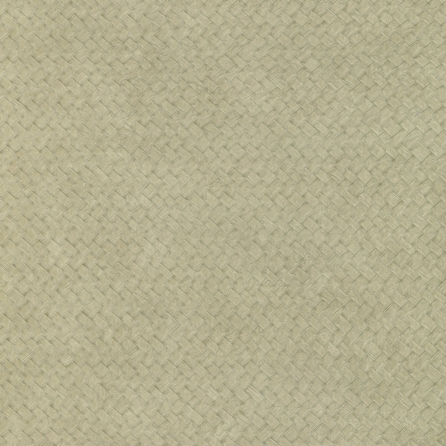 Cesto Wallpaper in beige green color - pattern number LZW-30181.03.0 - by Kravet in the Lizzo Textures I collection