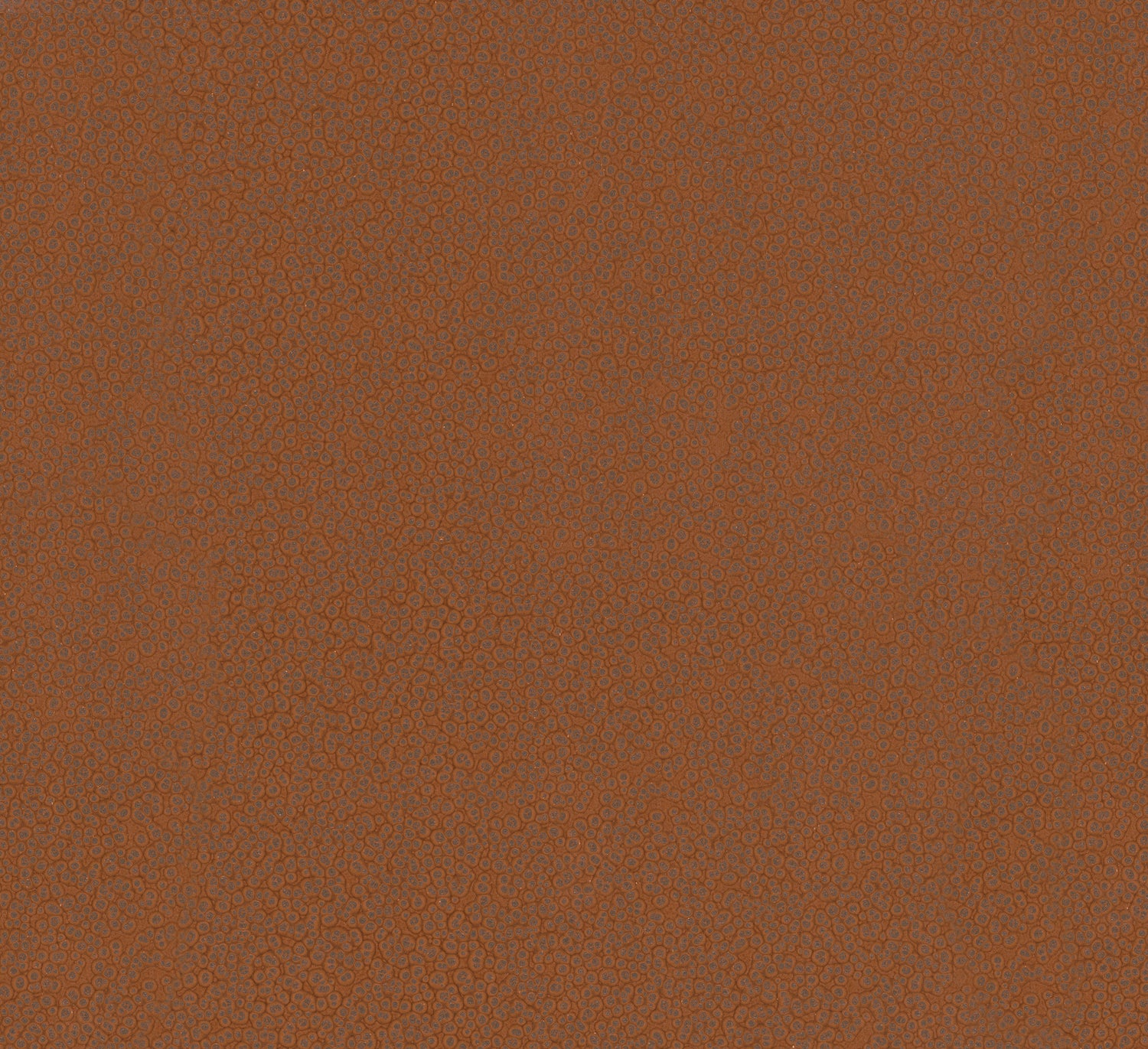 Hudson wallpaper in copper color - pattern number MA34958 - by Antonina Vella in the Opulent Accents collection
