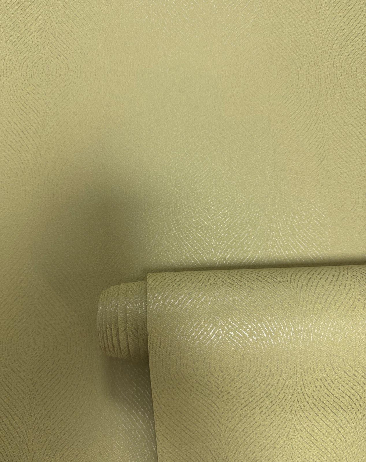 Contour Wallpaper in Green color - pattern number NT98074 - by Galerie in the New Touch collection