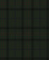 Tailor Plaid Peel and Stick wallpaper in greenery color - pattern number NW54304 - by NextWall in the Peel and Stick Wallpaper by Nextwall collection