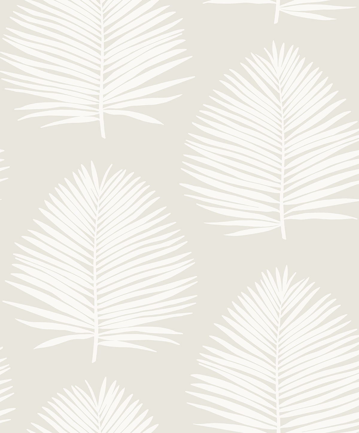 Island Palm Peel and Stick wallpaper in alabaster color - pattern number NW57100 - by NextWall in the Peel and Stick Wallpaper by Nextwall collection
