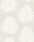 Island Palm Peel and Stick wallpaper in alabaster color - pattern number NW57100 - by NextWall in the Peel and Stick Wallpaper by Nextwall collection