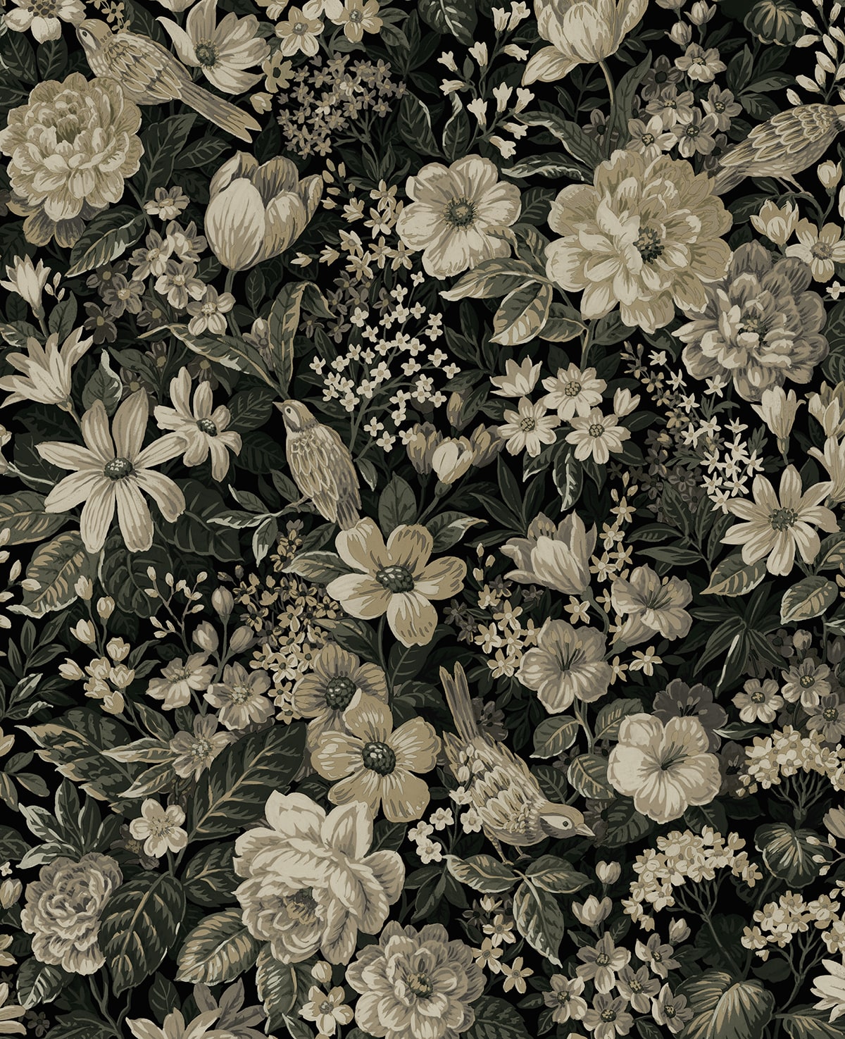 Vintage Bird Garden Peel and Stick wallpaper in ebony and pale fern color - pattern number NW58500 - by NextWall in the Peel and Stick Wallpaper by Nextwall collection
