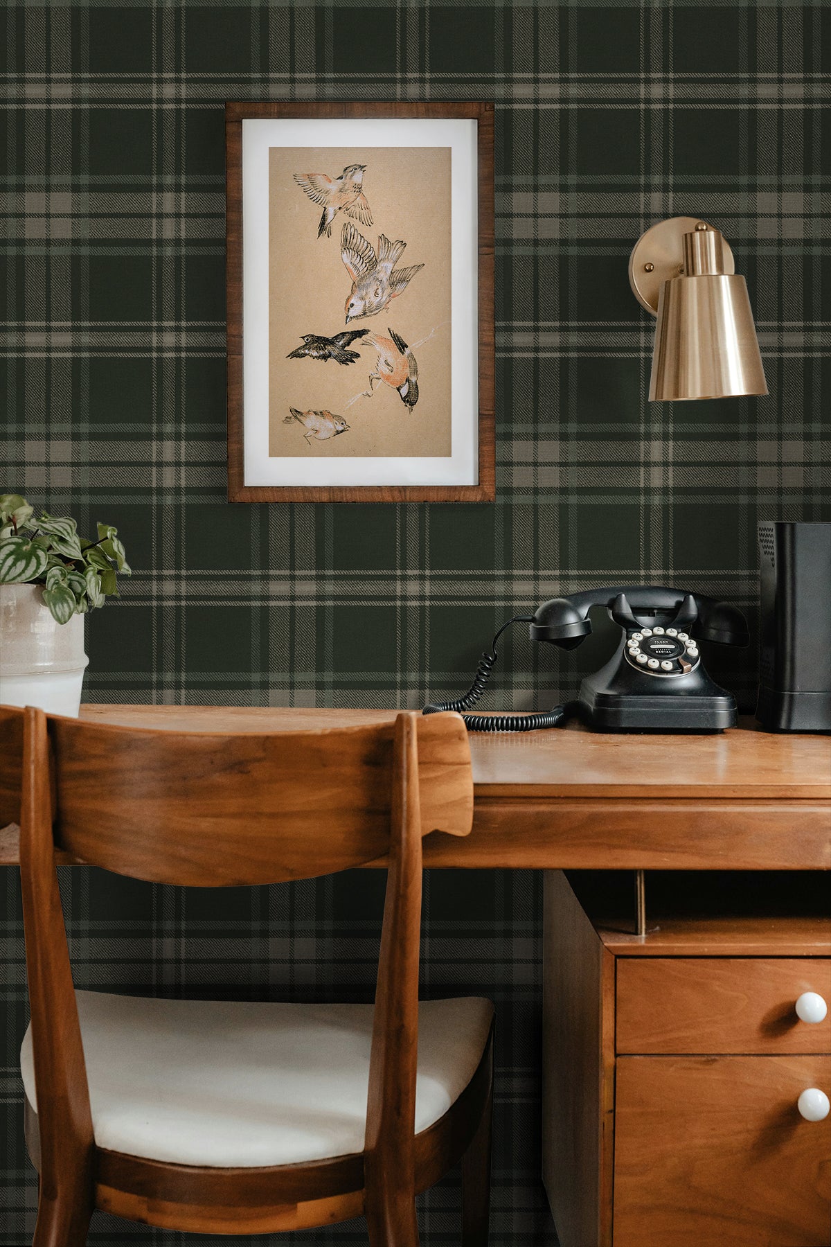 Sennehill Plaid Peel and Stick wallpaper in greenery color - pattern number NW58904 - by NextWall in the Peel and Stick Wallpaper by Nextwall collection