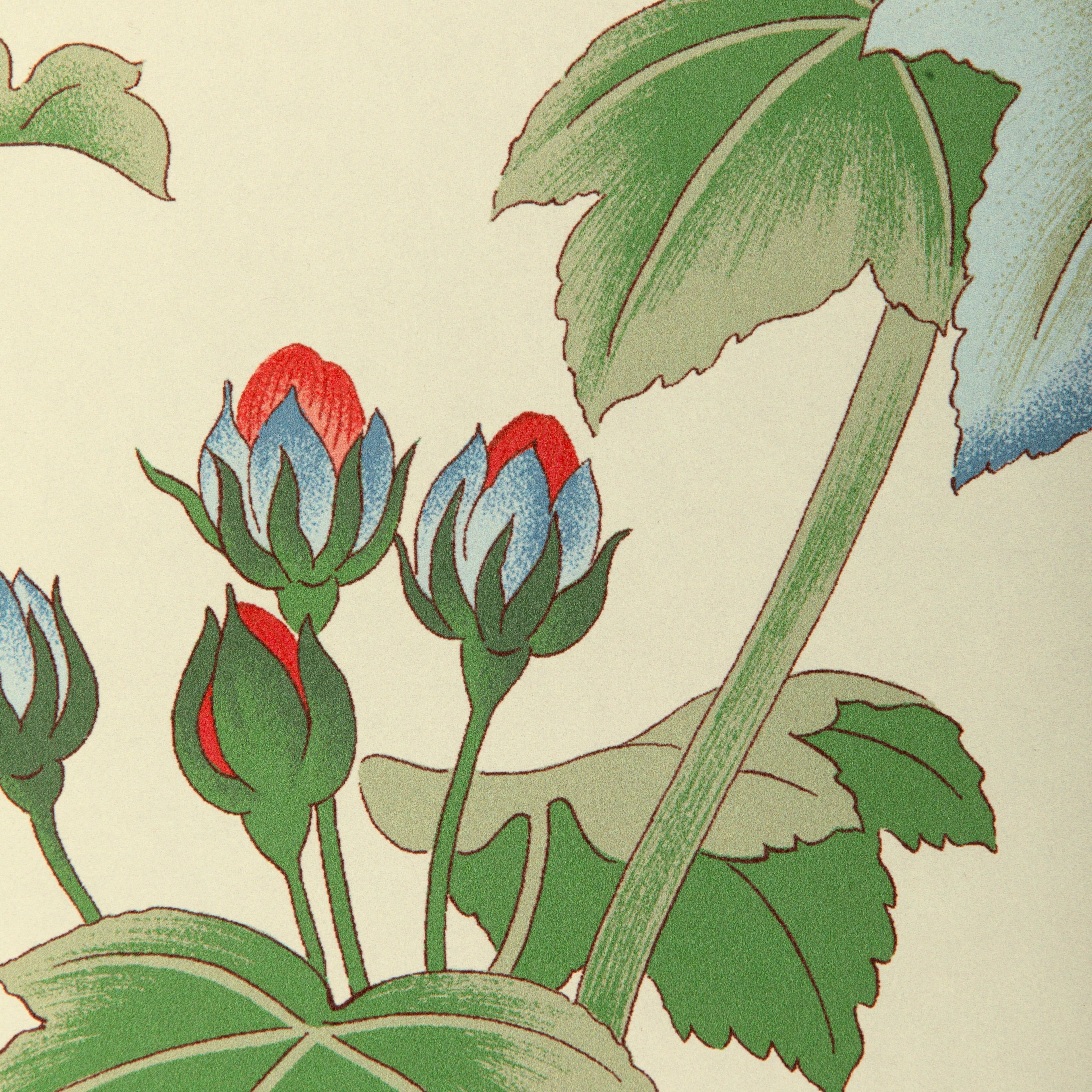 Gardenia Paper Wallpaper in red/green color - pattern number P2023128.319.0 - by Lee Jofa in the Garden Walk collection