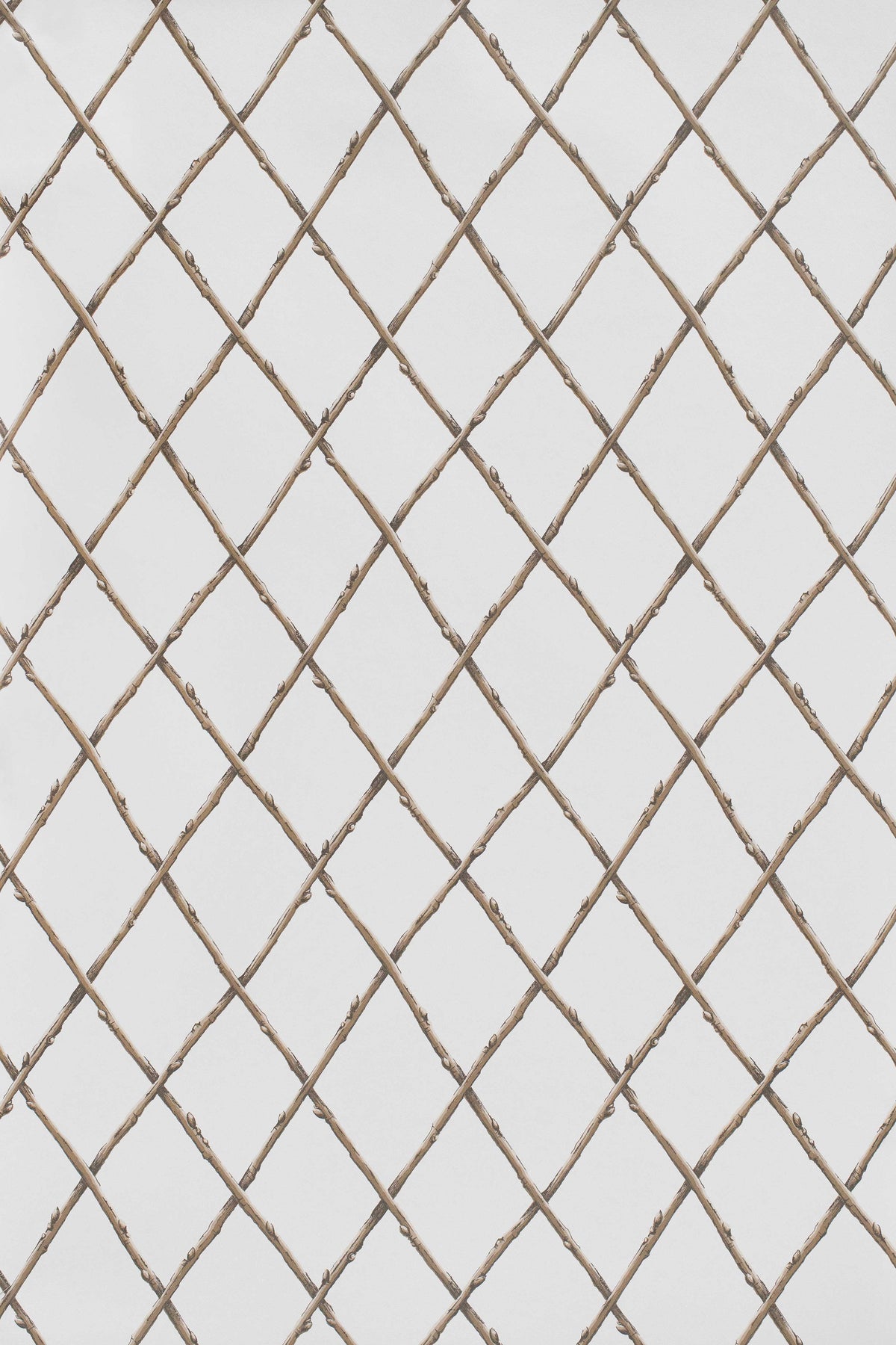 Bare Twig Trellis Wallpaper in Brown color - pattern number P2025106.1116.0 - by Lee Jofa in the Paolo Moschino Garden collection