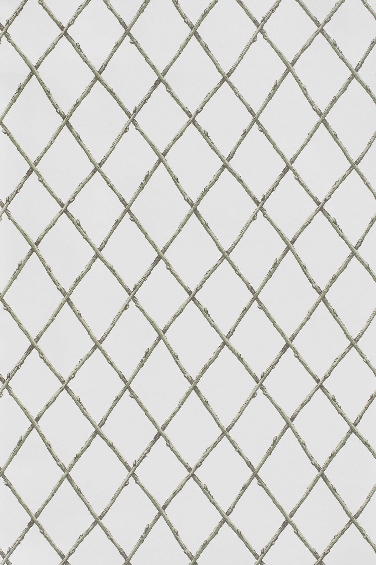 Bare Twig Trellis Wallpaper in Green color - pattern number P2025106.130.0 - by Lee Jofa in the Paolo Moschino Garden collection