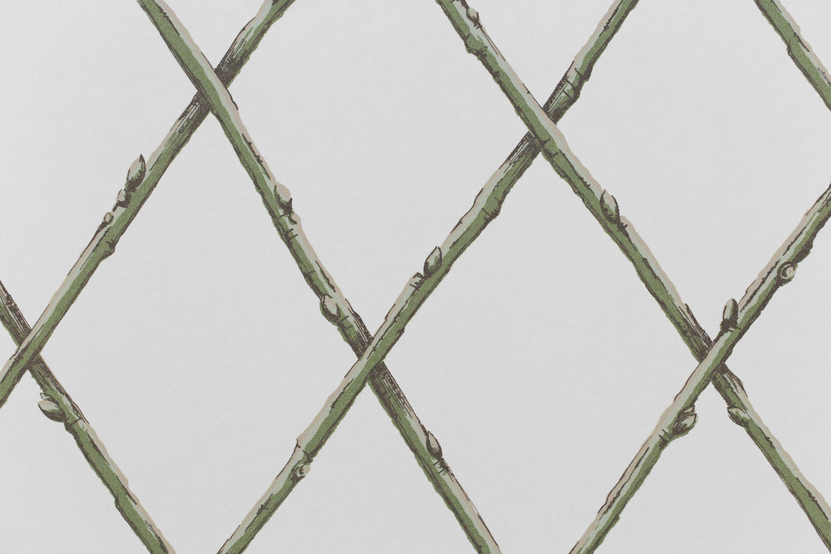 Bare Twig Trellis Wallpaper in Green color - pattern number P2025106.130.0 - by Lee Jofa in the Paolo Moschino Garden collection