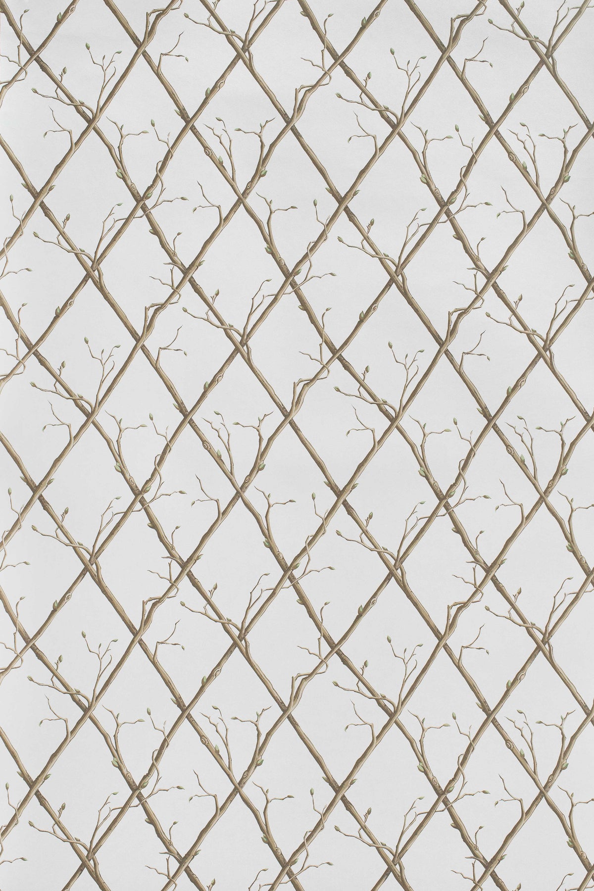 Twig Trellis Wallpaper in Brown color - pattern number P2025108.1016.0 - by Lee Jofa in the Paolo Moschino Garden collection