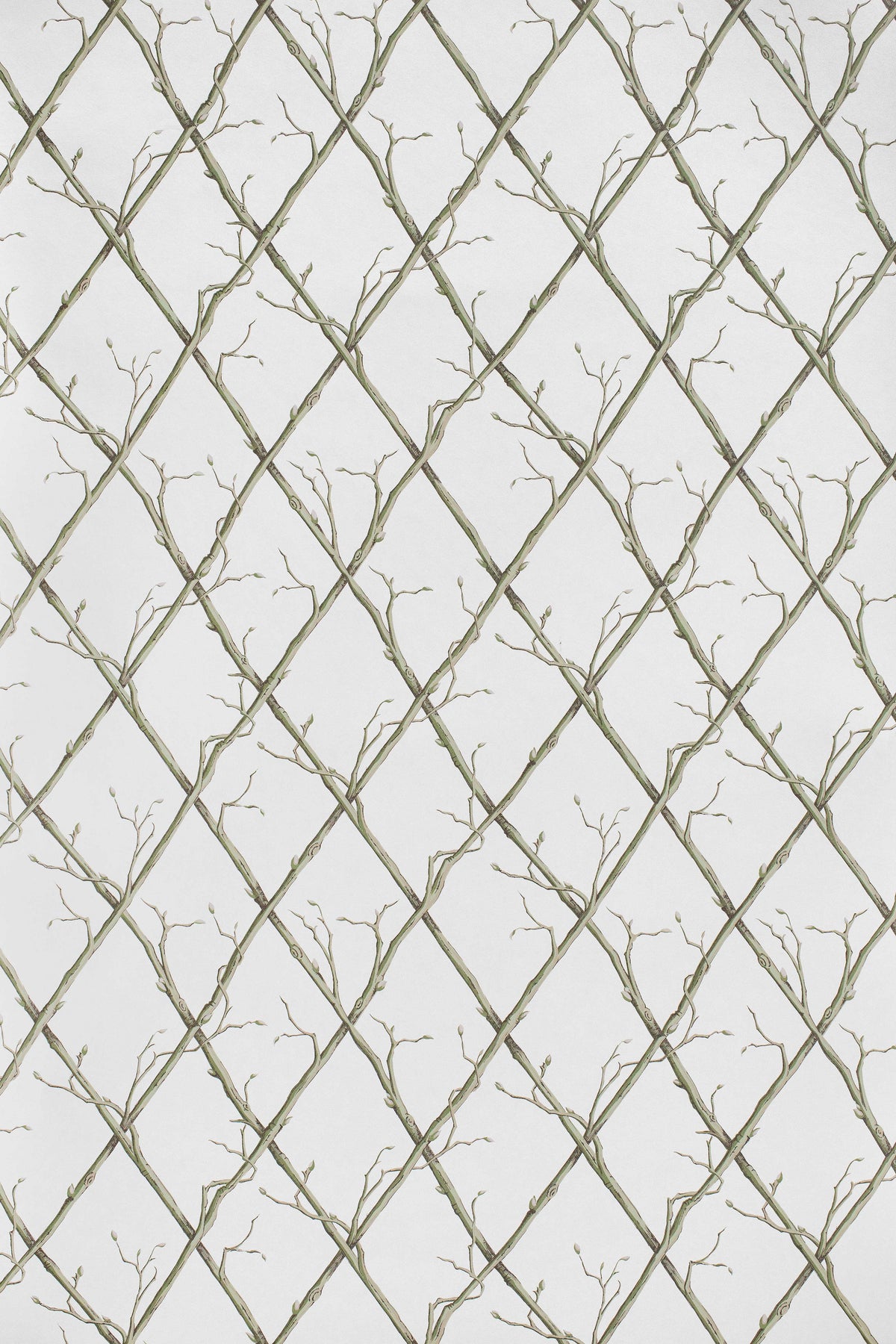 Twig Trellis Wallpaper in Green color - pattern number P2025108.123.0 - by Lee Jofa in the Paolo Moschino Garden collection