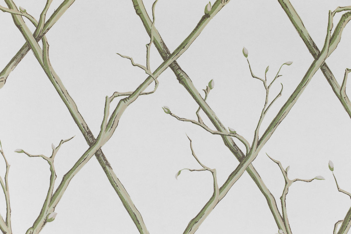 Twig Trellis Wallpaper in Green color - pattern number P2025108.123.0 - by Lee Jofa in the Paolo Moschino Garden collection