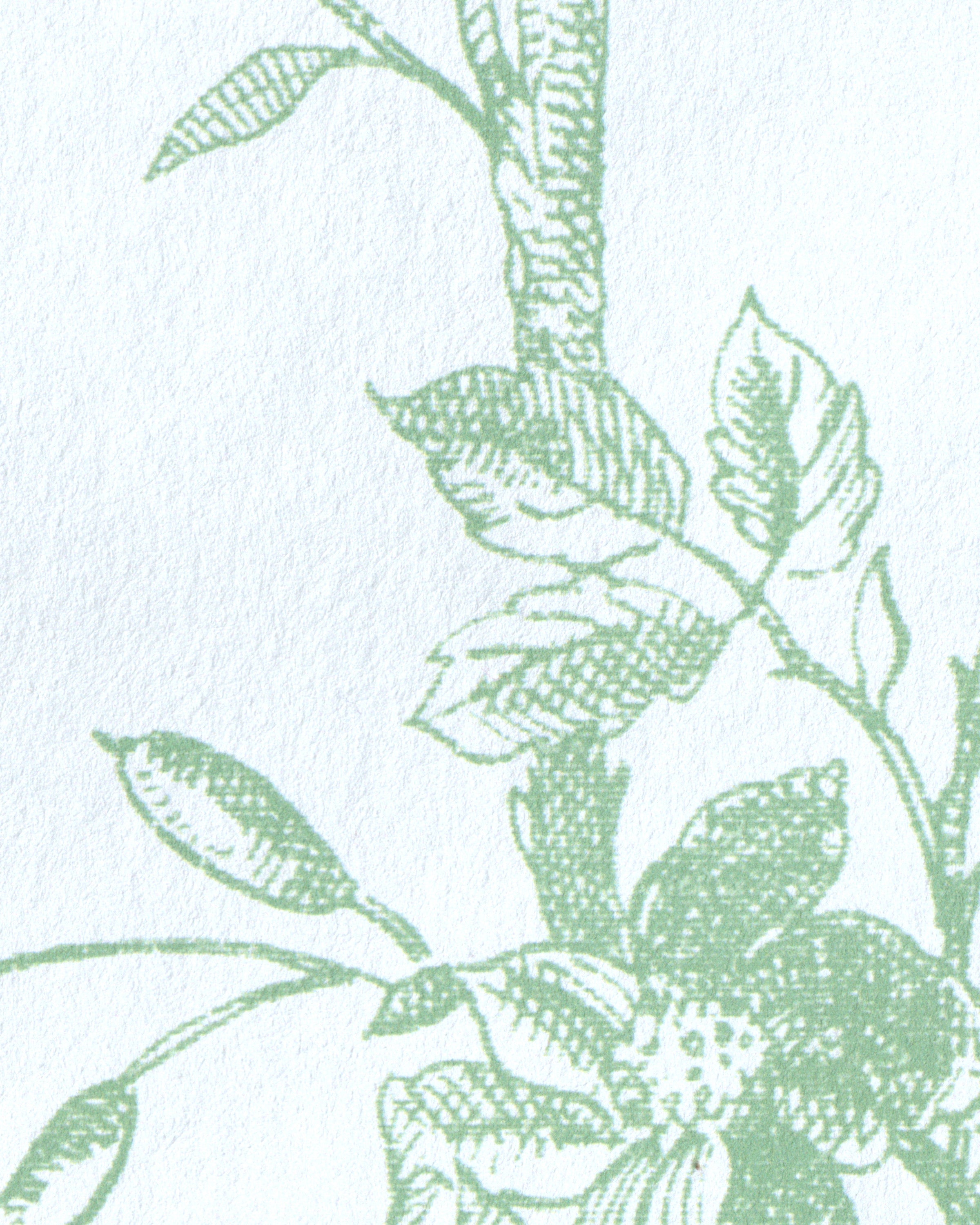 Chinese Peony Wallpaper in leaf color - pattern number P2026100.30.0 - by Lee Jofa Modern in the Hinton Hill collection