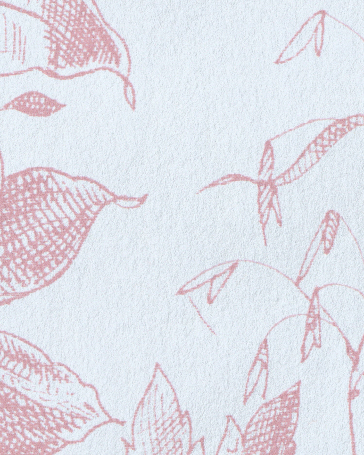 Chinese Peony Rose P2026100.707.0 Wallpaper by Lee Jofa Modern ...