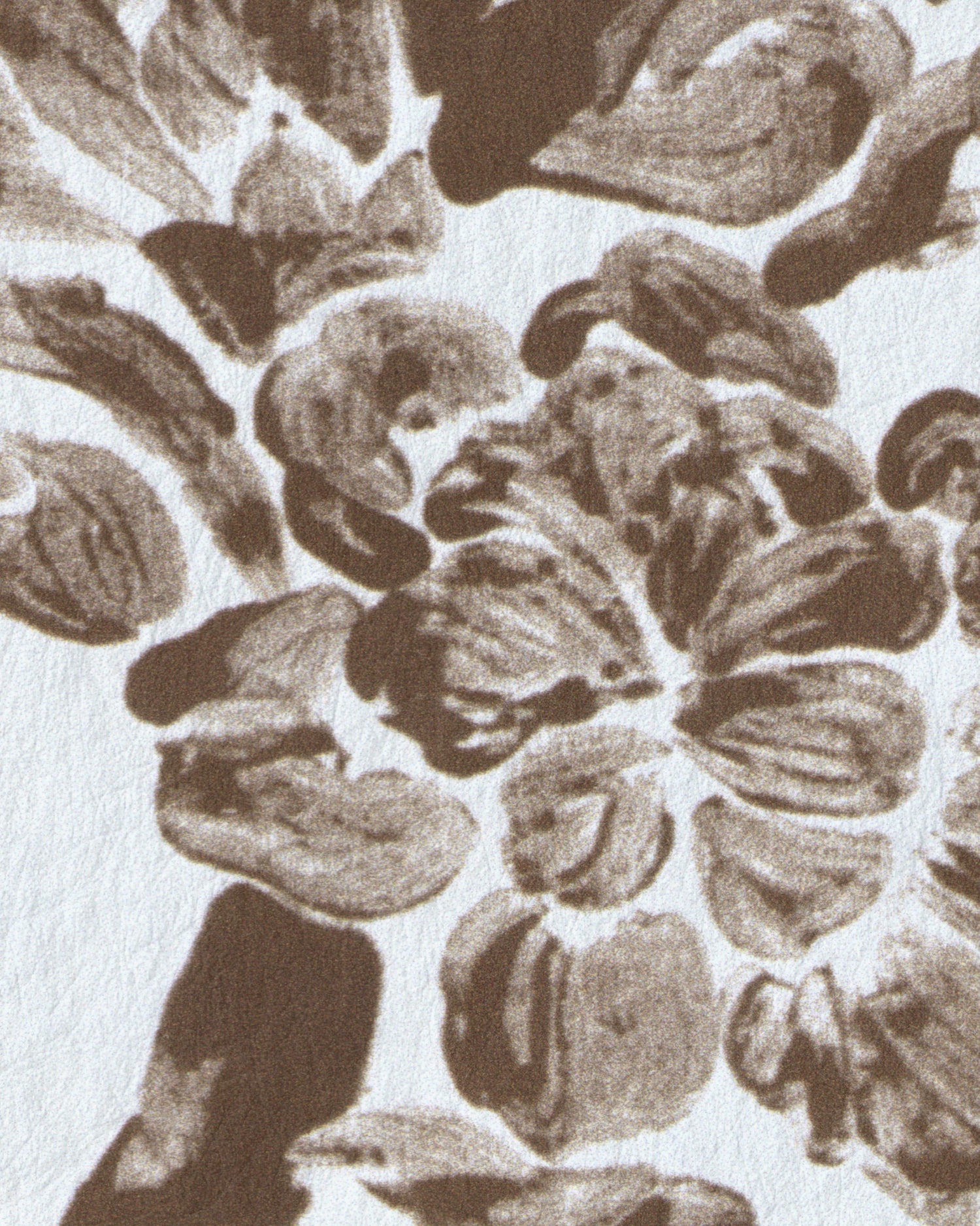 Camellia Toile Wallpaper in brown color - pattern number P2026103.61.0 - by Lee Jofa in the Gracie Gardens collection