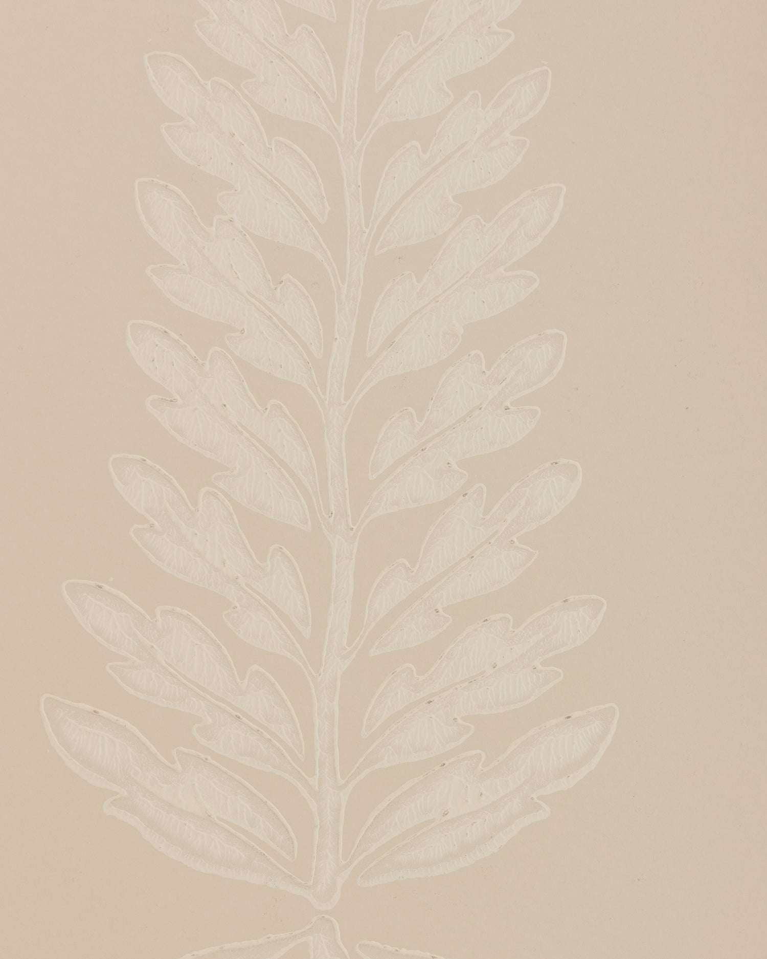 Glade Fern Wallpaper in Beige color - pattern number P2026107.1601.0 - by Lee Jofa in the Arley collection