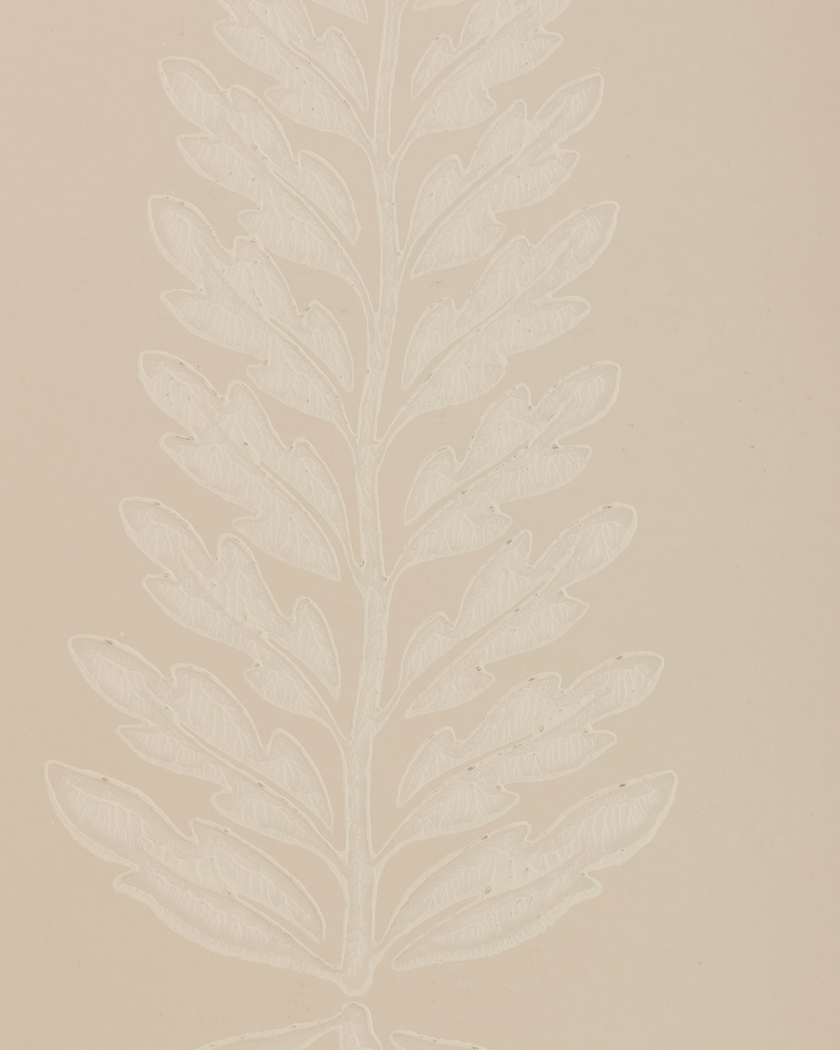 Glade Fern Wallpaper in Beige color - pattern number P2026107.1601.0 - by Lee Jofa in the Arley collection