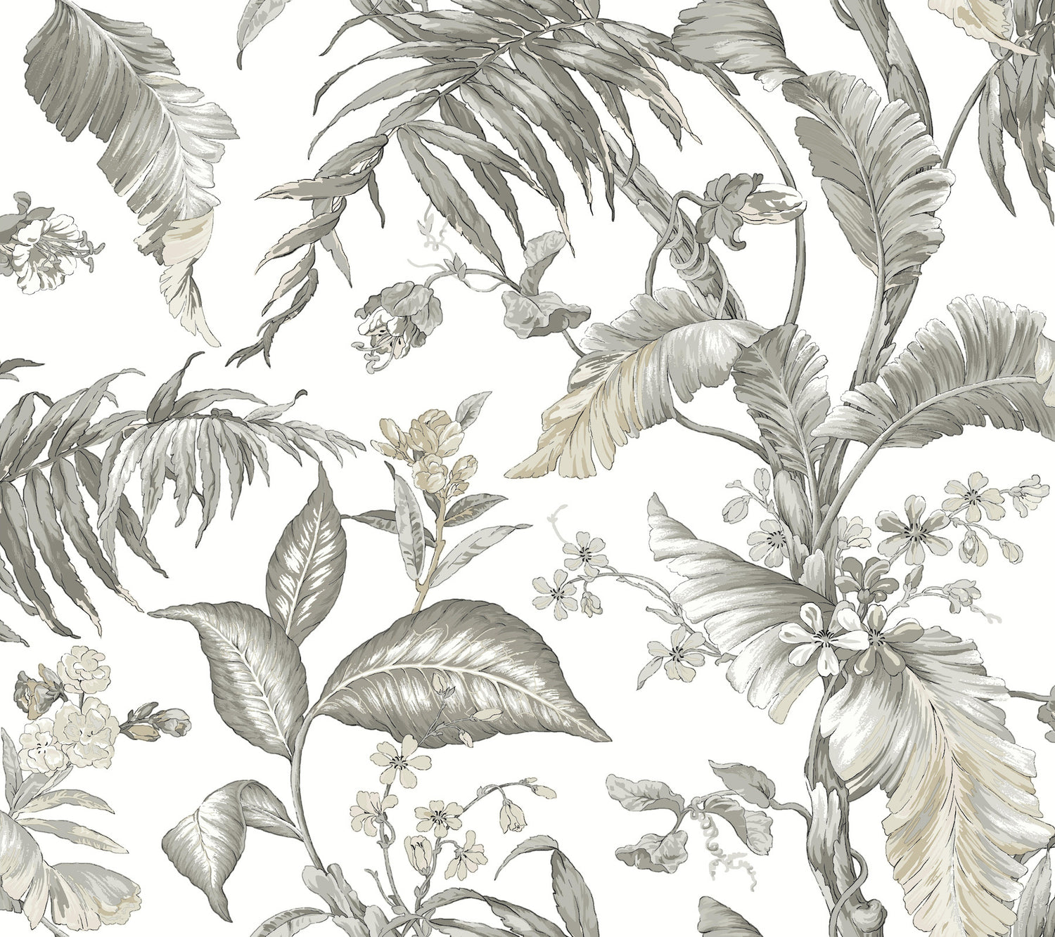 Fiji Garden Peel and Stick wallpaper in black &amp; white color - pattern number PSW1371RL - by York in the Vintage Florals Peel and Stick Wallpaper collection