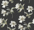 Large Parrot Tulip Peel and Stick wallpaper in black color - pattern number PSW1372RL - by York in the Vintage Florals Peel and Stick Wallpaper collection