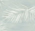 Endless Summer Peel and Stick wallpaper in jade metallic color - pattern number PSW1557RL - by York in the Aviva Stanoff Peel and Stick Wallpaper collection