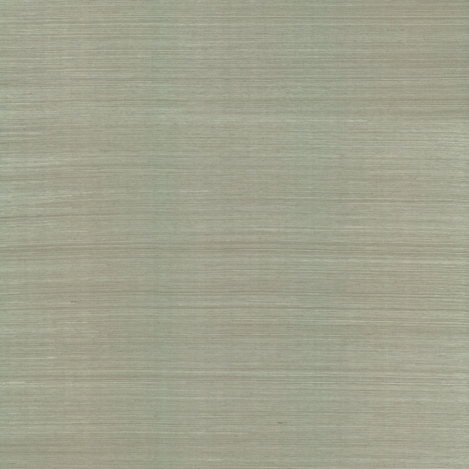 Natural Sisal Grasscloth Peel and Stick wallpaper in pine color - pattern number PSW1594RL - by York in the Natural Grasscloth Peel and Stick Wallpaper collection