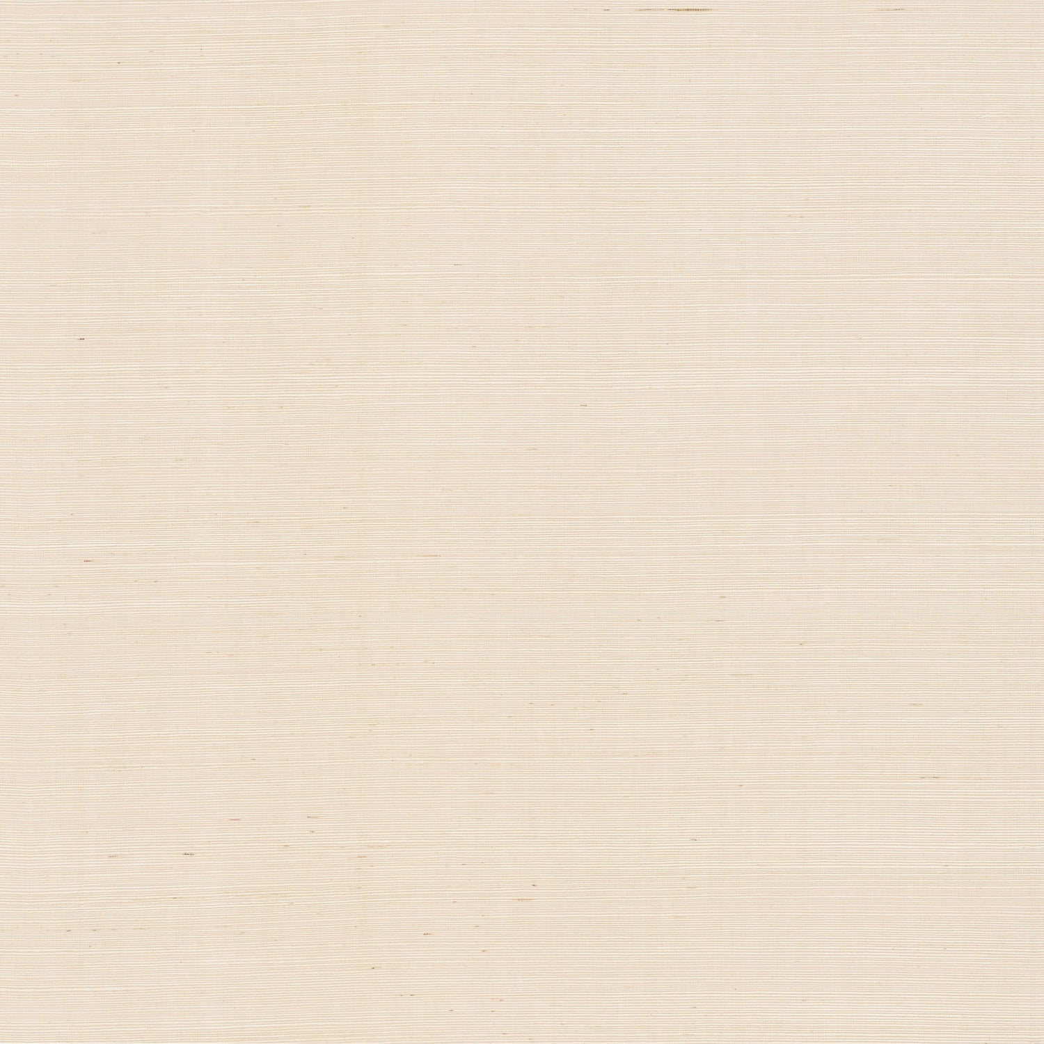 Natural Sisal Grasscloth Peel and Stick wallpaper in plaster color - pattern number PSW1596RL - by York in the Natural Grasscloth Peel and Stick Wallpaper collection