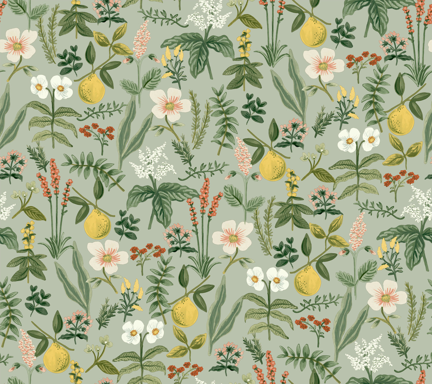 Herb Garden Botanical Peel and Stick wallpaper in sage color - pattern number PSW1675RL - by Rifle Paper Co in the Rifle Paper Co Fifth Edition Peel and Stick Wallpaper collection